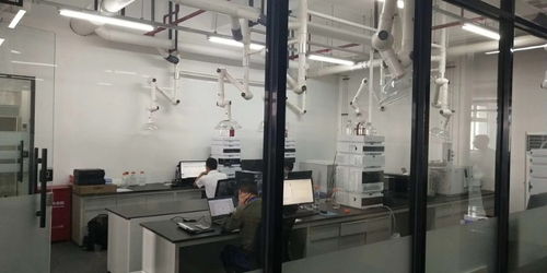 闵行独栋1350平可分割精装修厂房 一站式解决仓储、生产与土地需求